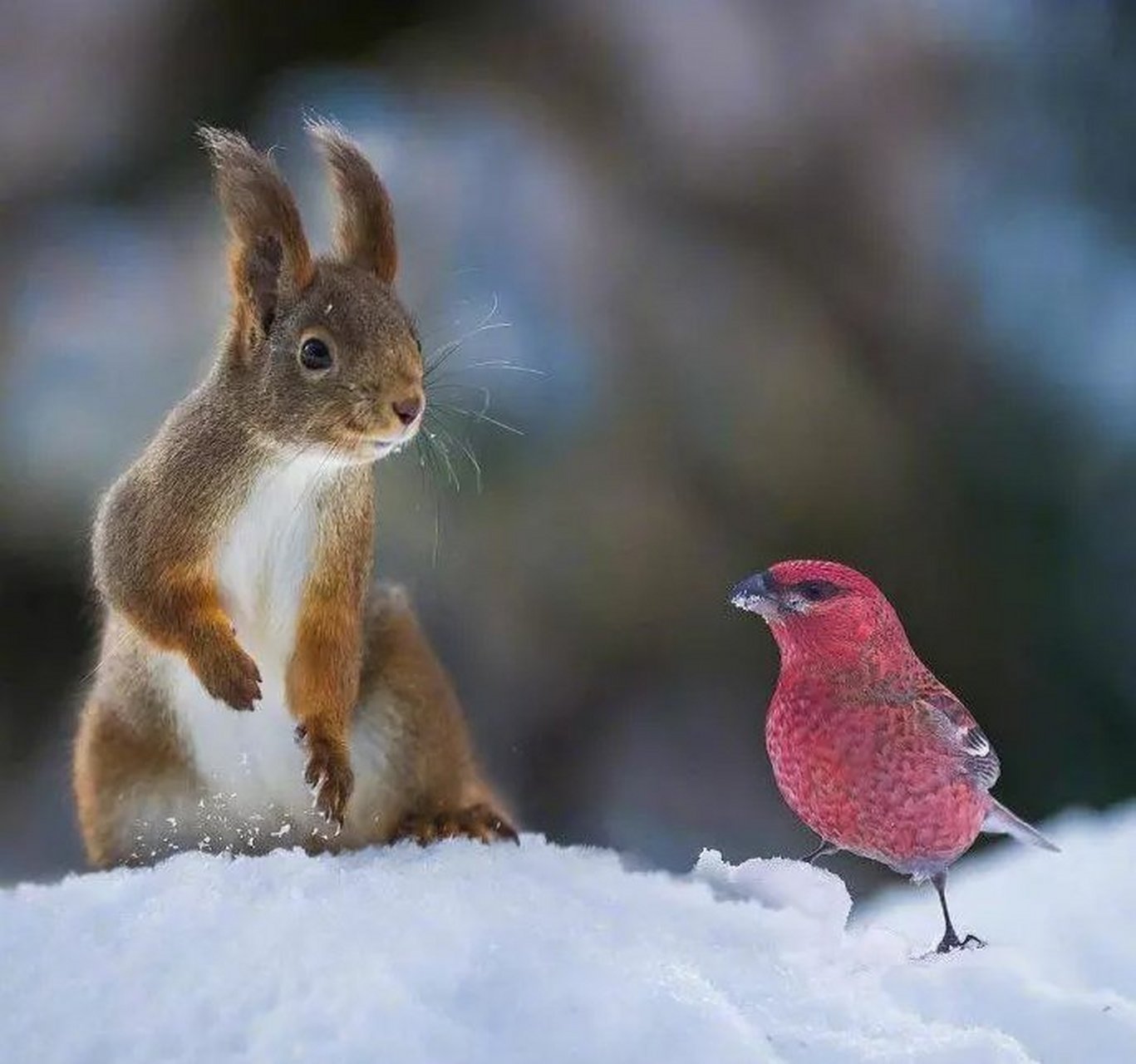 乐鱼体育平台 -?:??????覲做	痰$邽j耆瘉-0袦`NW>?f???嗎帏f?F山9墻C的简单介绍